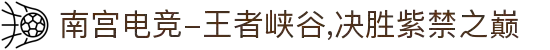 南宫电竞-王者峡谷,决胜紫禁之巅